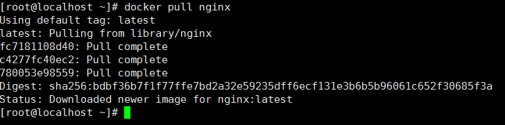 docker 安装 nginx 并配置反向代理插图