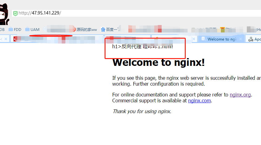 用 Docker 运行 Nginx 容器做域名反向代理插图1