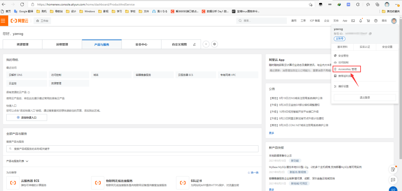 通过java springboot实现阿里云dns动态解析插图6