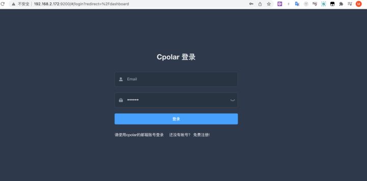 公网异地远程访问家中/公司的群晖NAS插图7