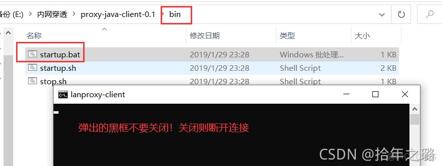 使用Lanproxy搭建内网穿透服务完整教程_Lanproxy_13