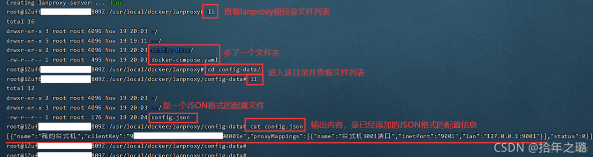 使用Lanproxy搭建内网穿透服务完整教程_Lanproxy_10