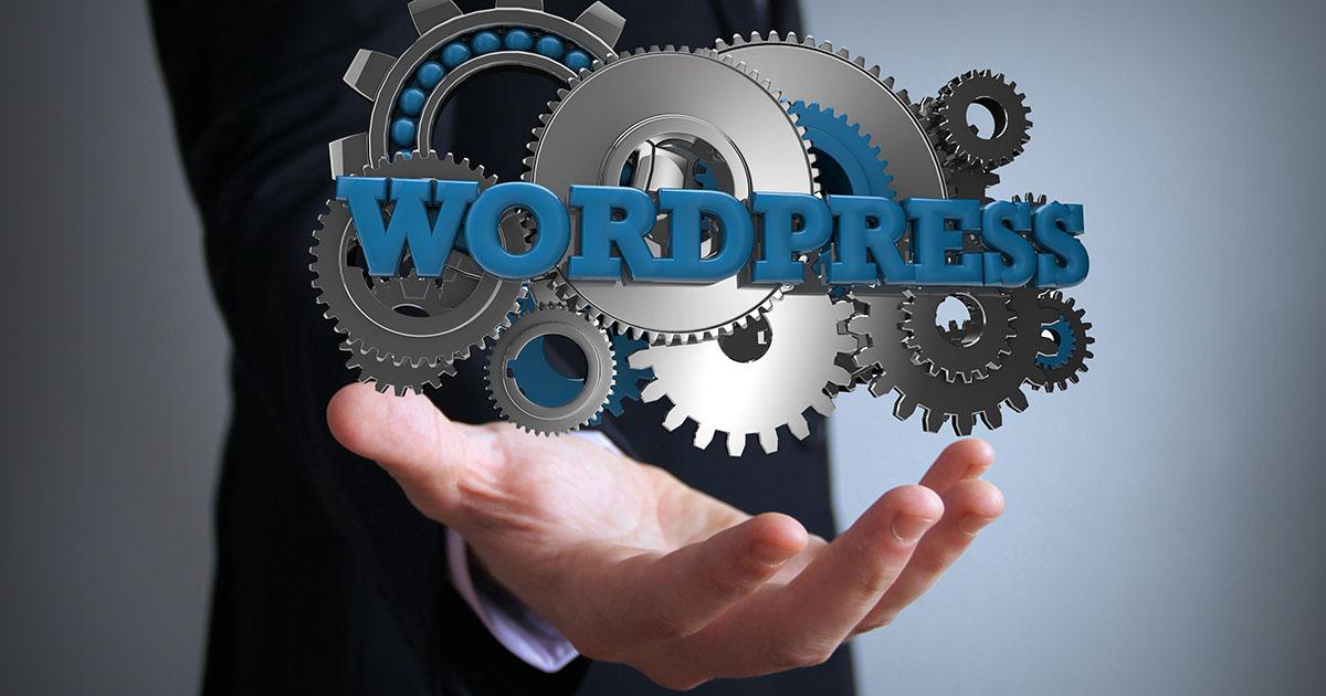 WordPress 主题:适合您网站的最佳设计