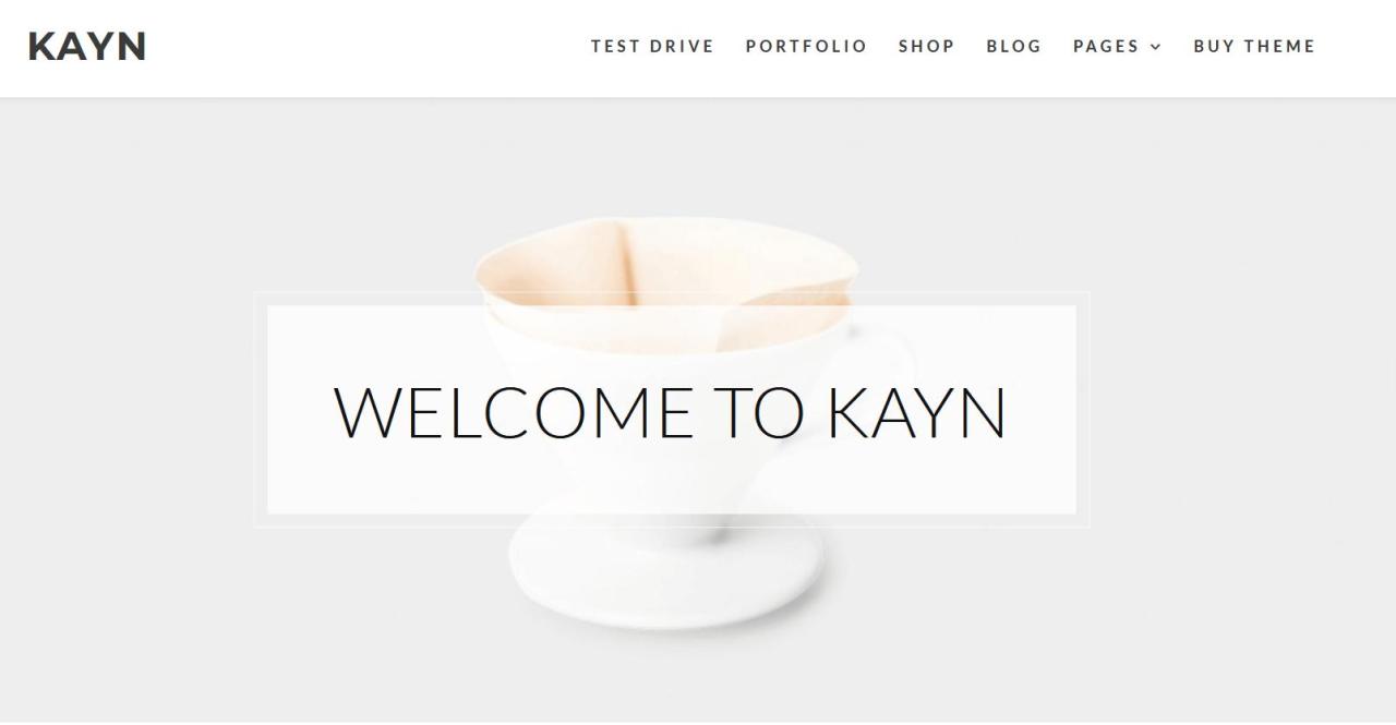 WordPress 模板 “Kayn” 由 WP-Royal