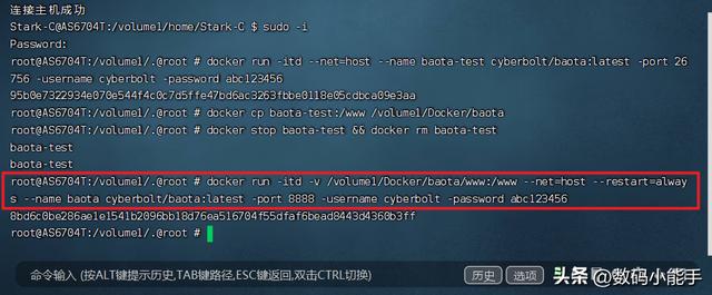 「新手导向」在NAS上安装部署Docker安装宝塔面板插图11