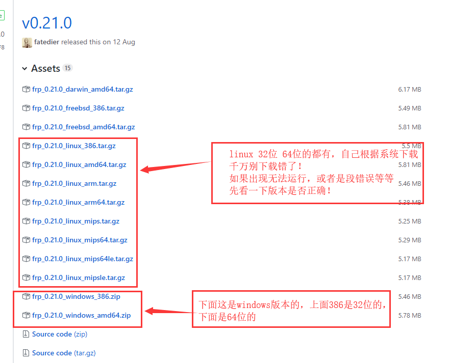 frp进行内网穿透（一）—搭建自己私有网站群及网盘，部署插图