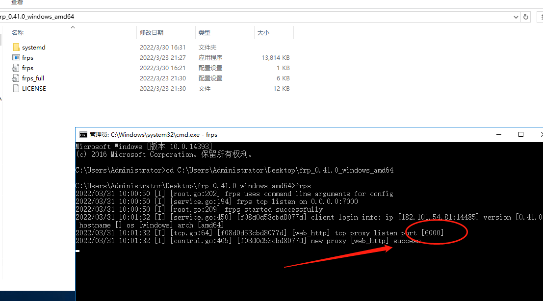 用frp开源工具，实现内网穿透（详细教程）插图12