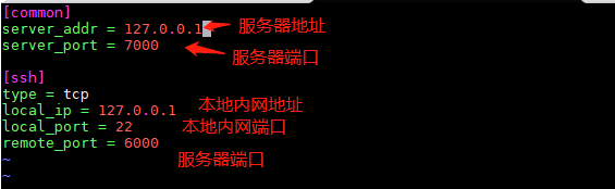 内网穿透—使用 frp 实现内外网互通插图3