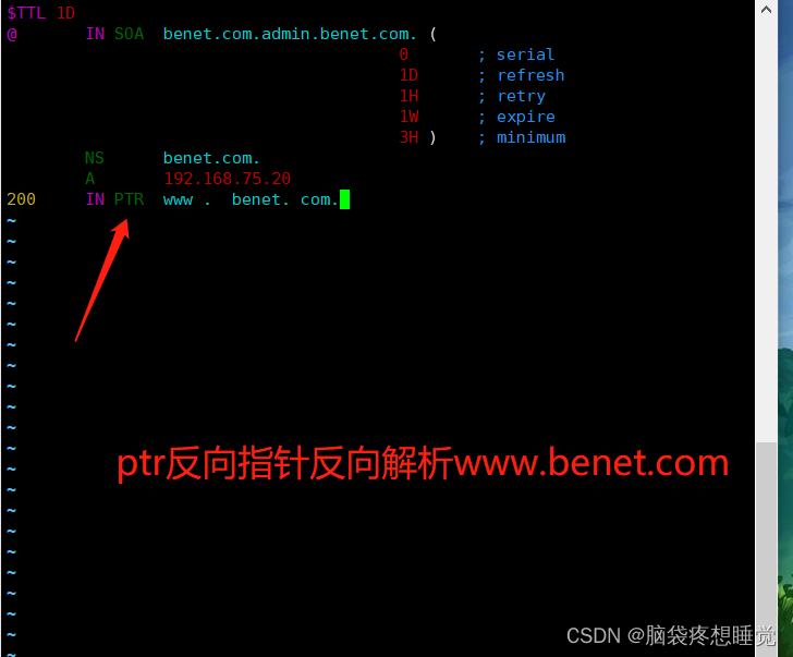 域名与域名解析插图15