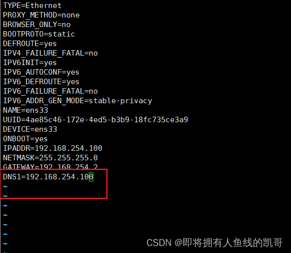 Linux网络之DNS域名解析概述-陌上烟雨遥