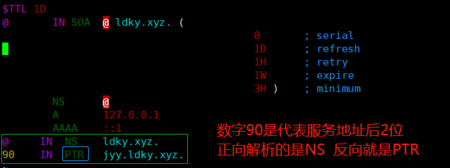 CentOS7 搭建 DNS 域名解析服务器-陌上烟雨遥