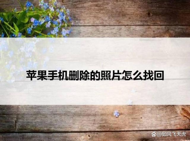 白嫖群晖NAS，免费赚钱回本，群晖和京东云无线宝联合定制新品插图31