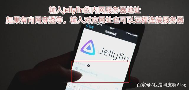 群晖NAS安装Jellyfin+TMM影片刮削器入门教程，完美硬解！插图64