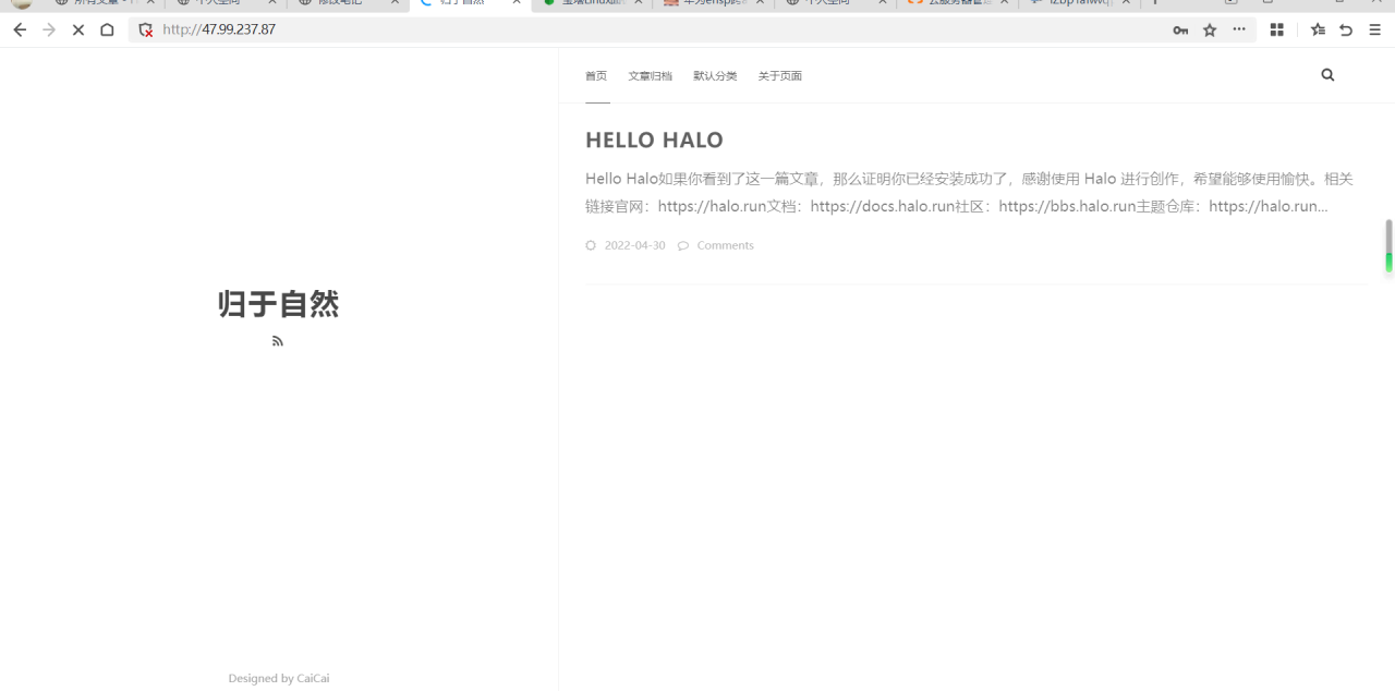 宝塔docker快速安装Halo插图14