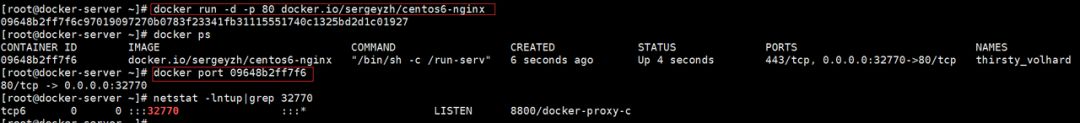 测开必知：Docker 从入门到精通（新手大全）插图22