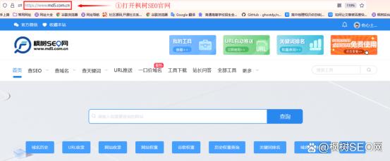 令人头疼的域名备案有救吗，站长工具网站备案怎么查？插图1