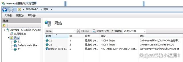 IIS服务的配置，网站发布插图5