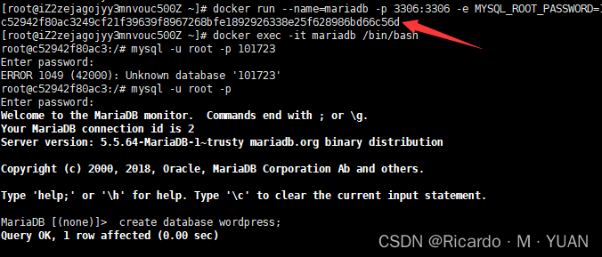 Docker+WordPress搭建个人博客网站插图8