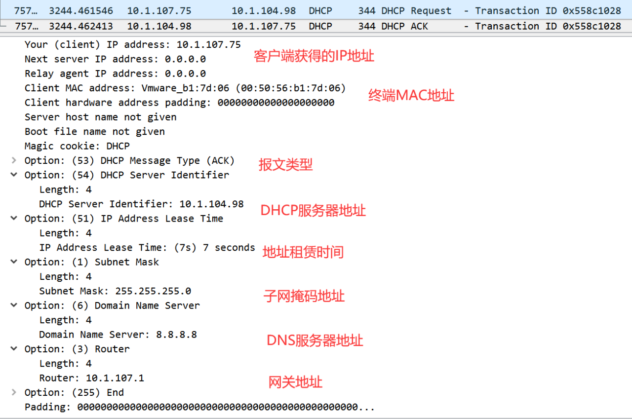 DNS云学堂 | 三分钟搞定，动态地址分配实操技巧-陌上烟雨遥