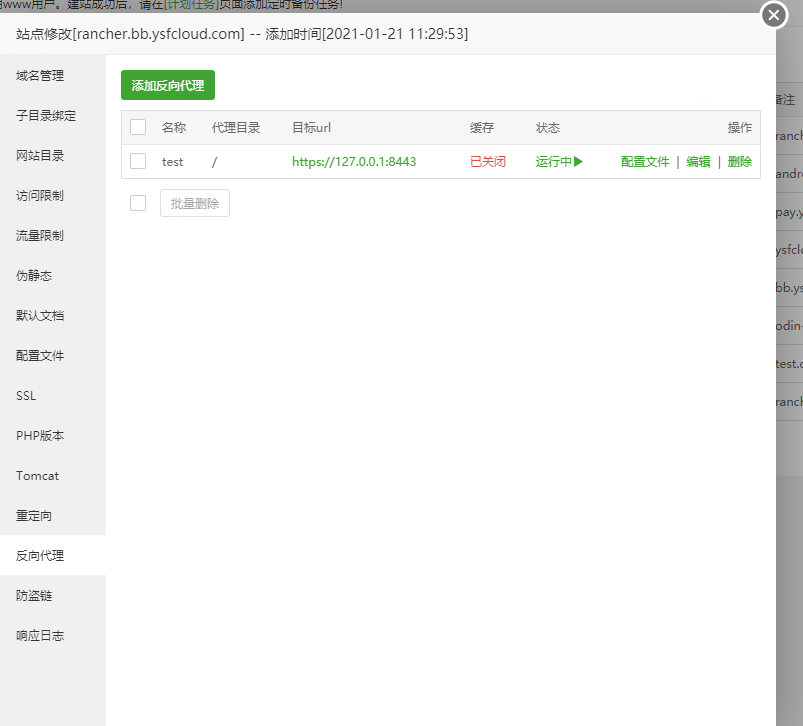 宝塔设置nginx https 反向代理插图2