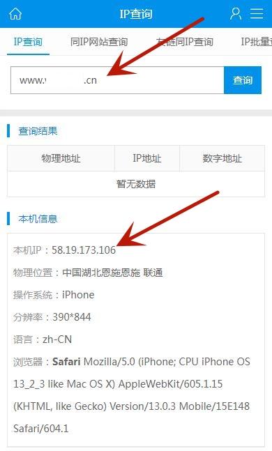 如何查看网站服务器地址？插图4