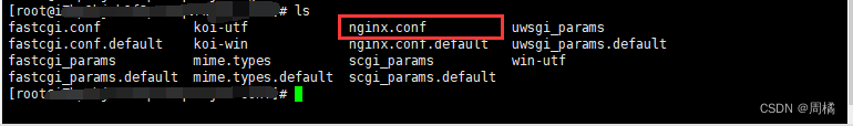 Nginx—Linux系统配置Nginx代理服务器的详细步骤（一）插图5