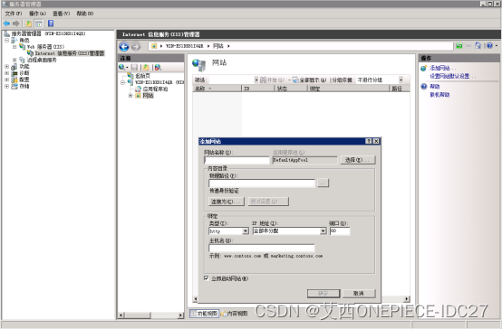 Windows系统服务器如何架设网站插图2