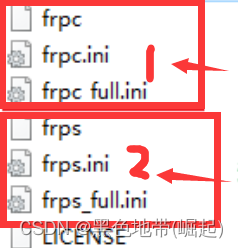 【内网安全-隧道搭建】内网穿透_Frp上线、测试插图1