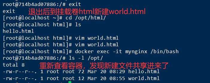 Docker 常用【容器】命令插图12