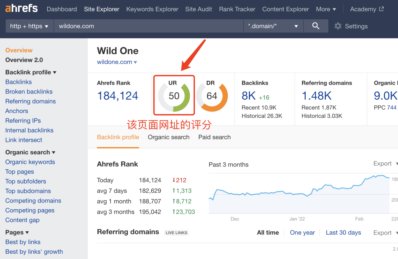 独立站最好用的 SEO 工具之一：Ahrefs 使用指南插图9