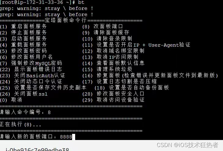 亚马逊EC2服务器搭建Linux系统宝塔环境插图8