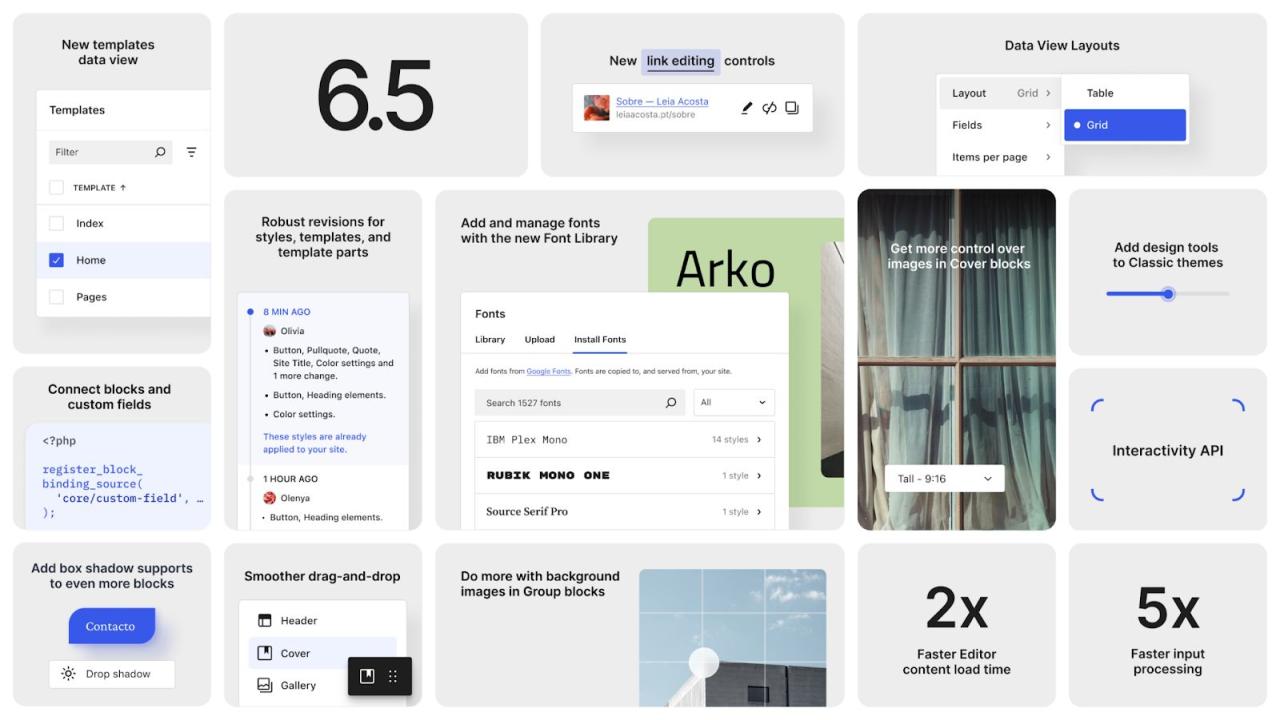 WordPress 6.5 的新增功能：字体库、交互 API 等-陌上烟雨遥