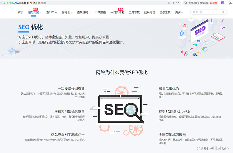 SEO作弊有哪些手段，网站采用SEO作弊会带来哪些惩罚-陌上烟雨遥