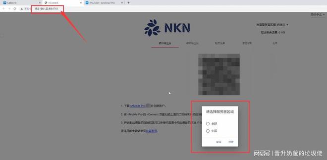 巧用组合拳搞定NAS外网访问，简单易上手，NKN+Qlink方案插图4