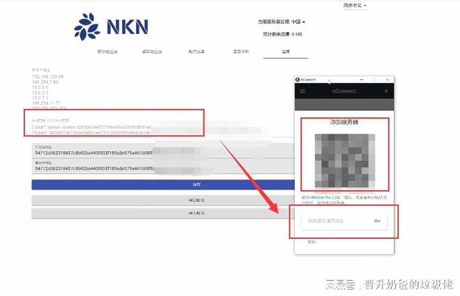 巧用组合拳搞定NAS外网访问，简单易上手，NKN+Qlink方案插图10