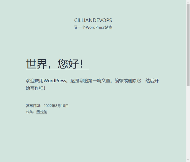 Docker部署wordpress博客-陌上烟雨遥