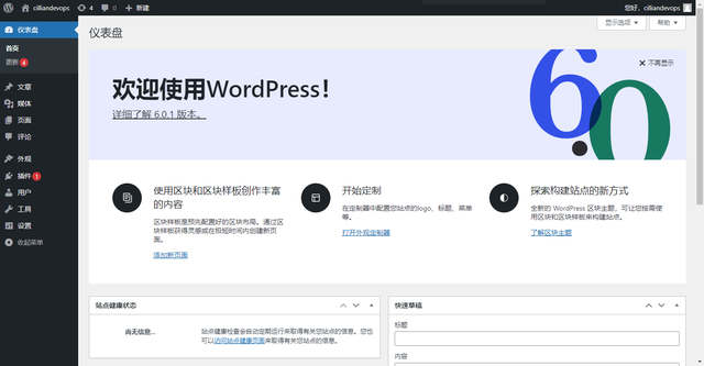 Docker部署wordpress博客插图3