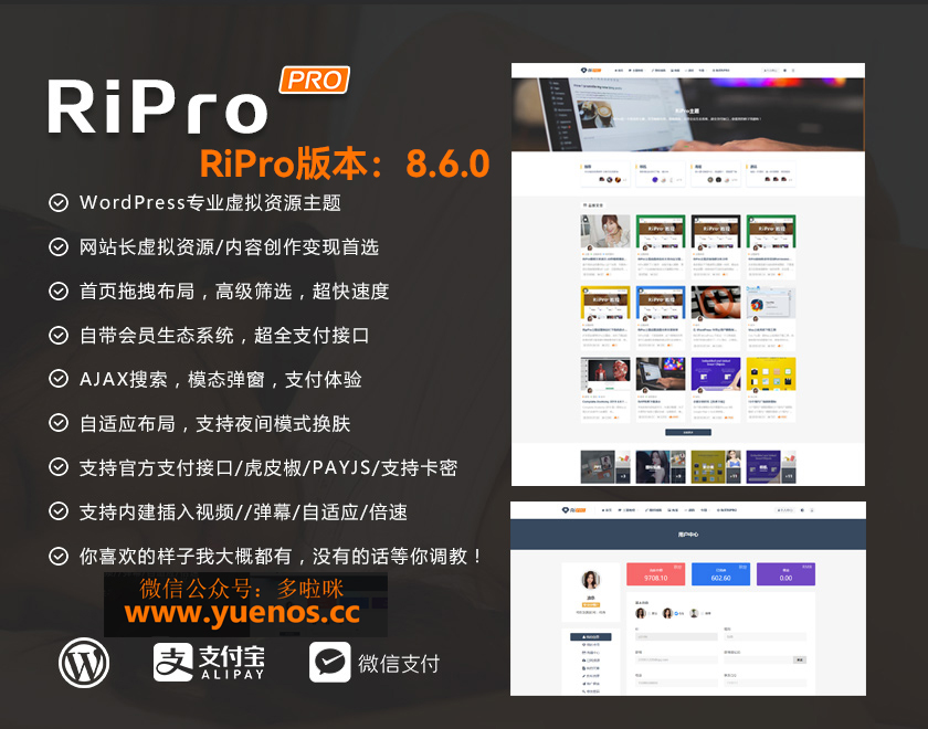 【WordPress主题】Ripro主题Ripro8.6破解无授权版wp主题源码【亲试可用】-陌上烟雨遥