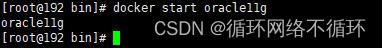 Docker部署Oracle并实现客户端连接插图2