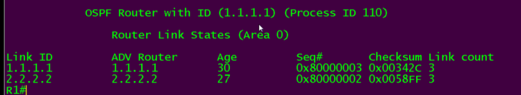 ospf 提升 二 —LSA插图1