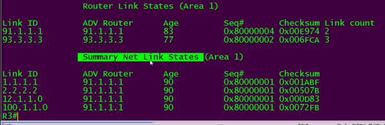 ospf 提升 二 —LSA插图6